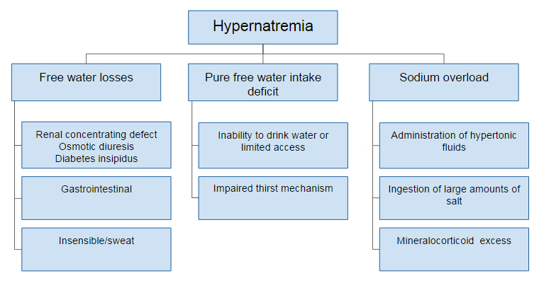 Hypernatremia Symptoms Diagnosis And Treatment Bmj Be 2992