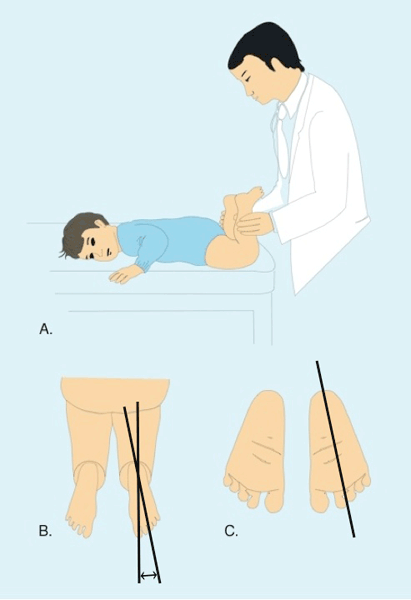 New ANVE Practice Materials