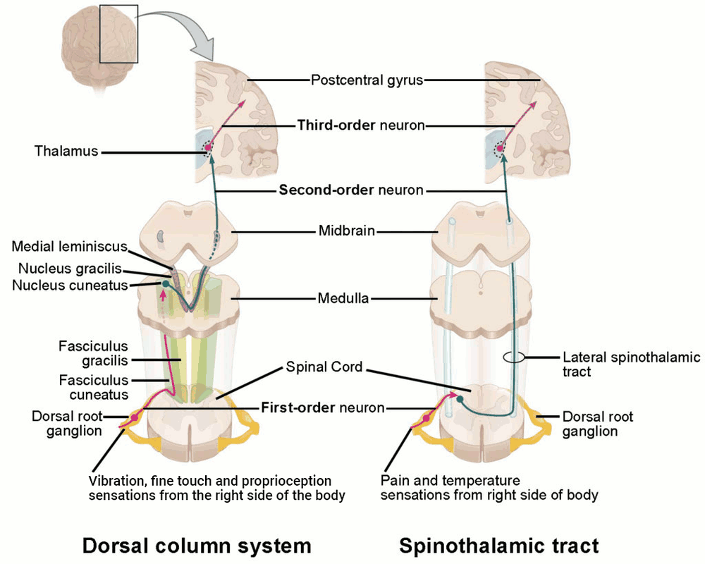 com.bmj.content.model.assessment.Caption@6049a9f9