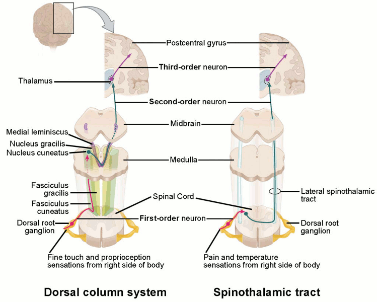 com.bmj.content.model.assessment.Caption@62163a0e