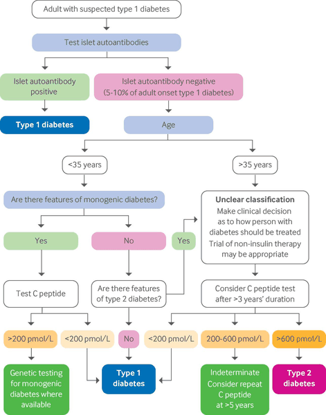 Type 1 diabetes mellitus images