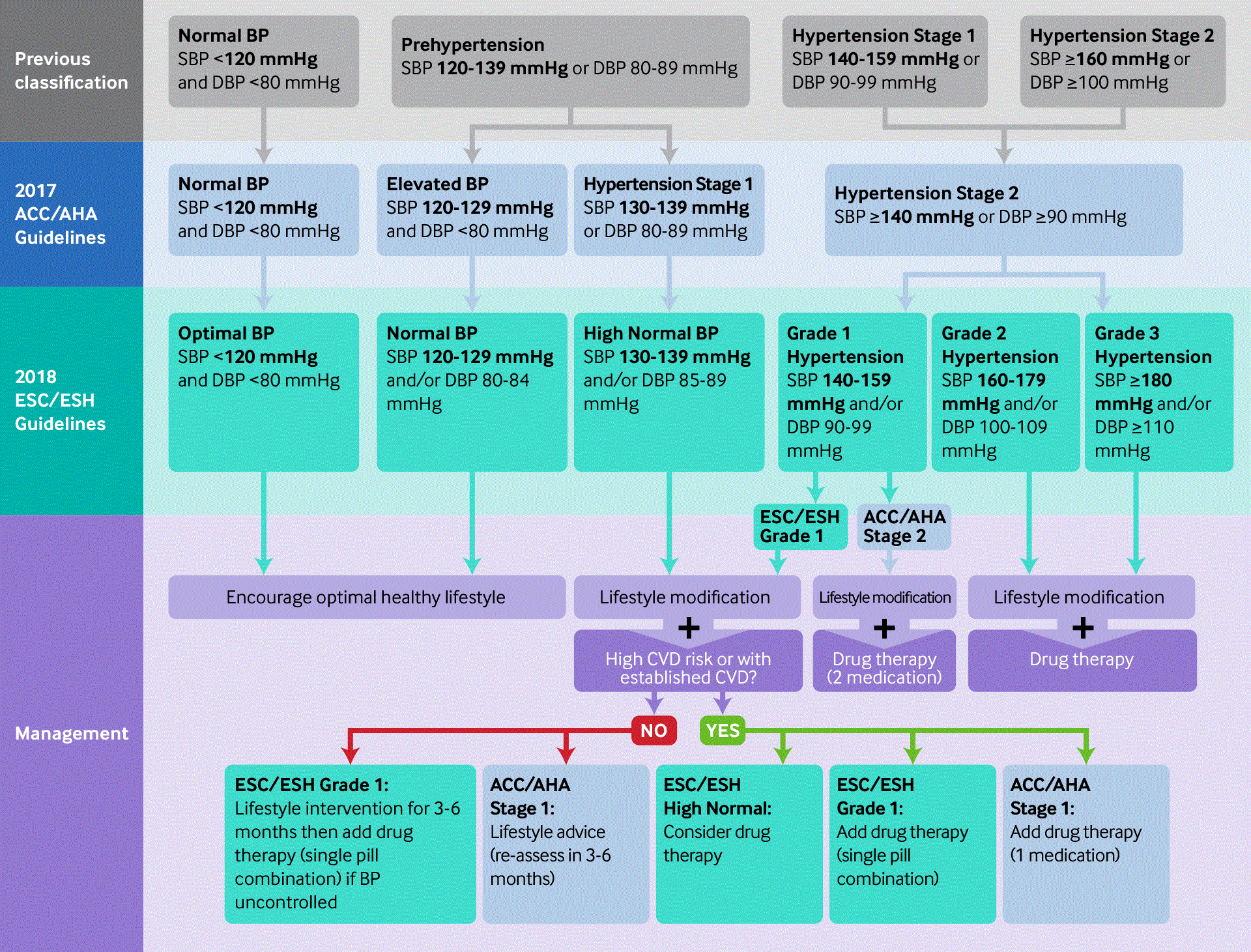 Acc/Aha Hypertension Guidelines 2024 - Loree Ranique