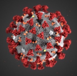 Ilustración que revela la morfología ultraestructural que muestra el coronavirus 2 del síndrome respiratorio agudo grave (SARS-CoV-2) cuando se observa bajo el microscopio electrónico
