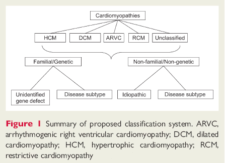 Assessment Of Cardiomyopathy - Differential Diagnosis Of Symptoms | BMJ ...