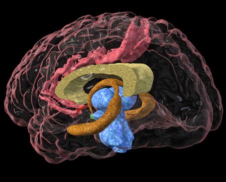 Post-traumatic stress disorder - Symptoms, diagnosis and