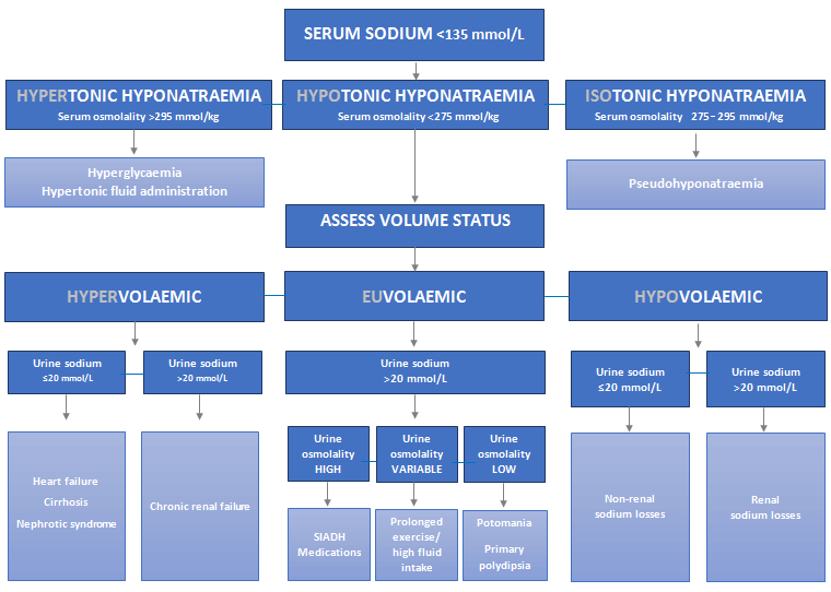 Assessment of hyponatraemia images