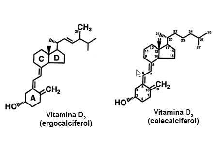 Deficiencia de vitamina D images