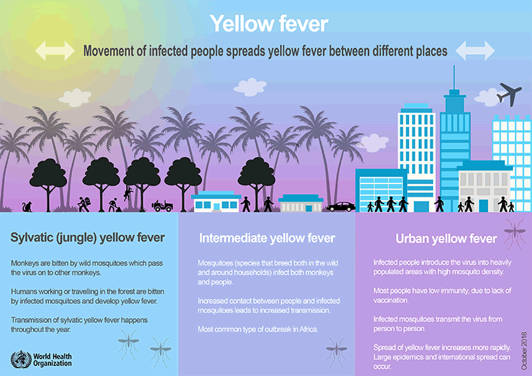 yellow-fever-images-bmj-best-practice-us