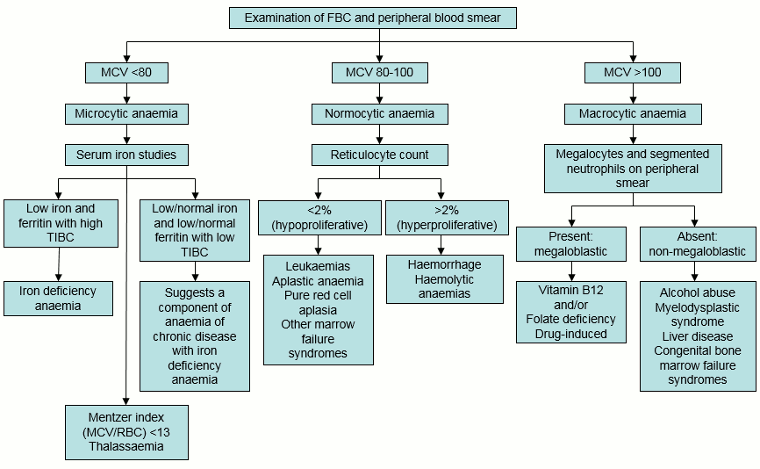 com.bmj.content.model.assessment.Caption@76f903e8