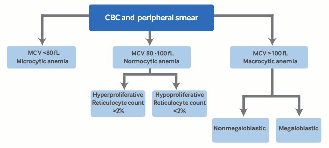 com.bmj.content.model.assessment.Caption@4e949e06