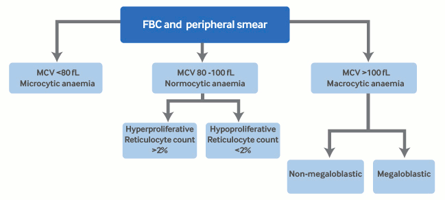 com.bmj.content.model.assessment.Caption@62e614d7