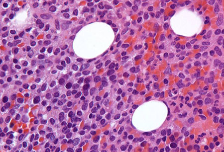 com.bmj.content.model.assessment.Caption@5c7c7fa1
