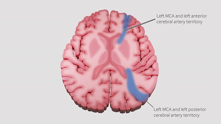 com.bmj.content.model.assessment.Caption@747489b3