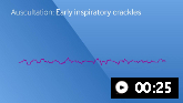 Early inspiratory crackles