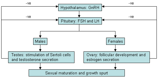 Precocious Puberty Images Bmj Best Practice Us 9830