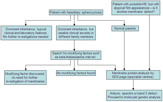 Spherocytosis Treatment