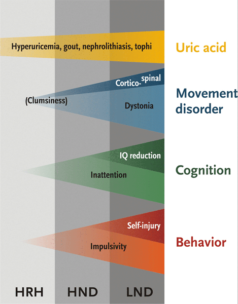 Lesch-Nyhan disease - Images | BMJ Best Practice