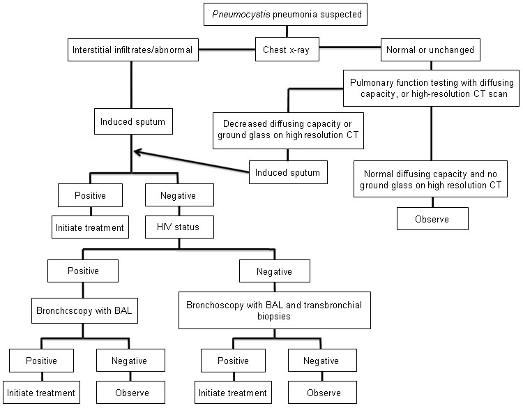 BMJ Best Practice