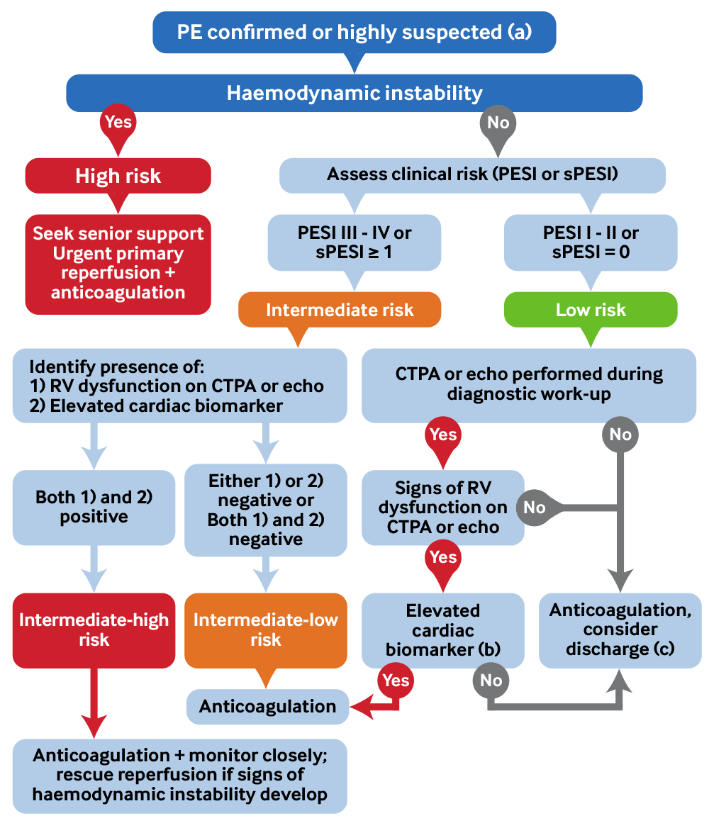 Pulmonary Embolism Criteria Bmj Best Practice - vrogue.co