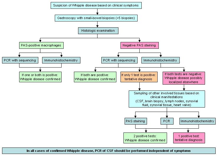 Whipple disease - Images | BMJ Best Practice US