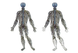 diabetic neuropathy bmj