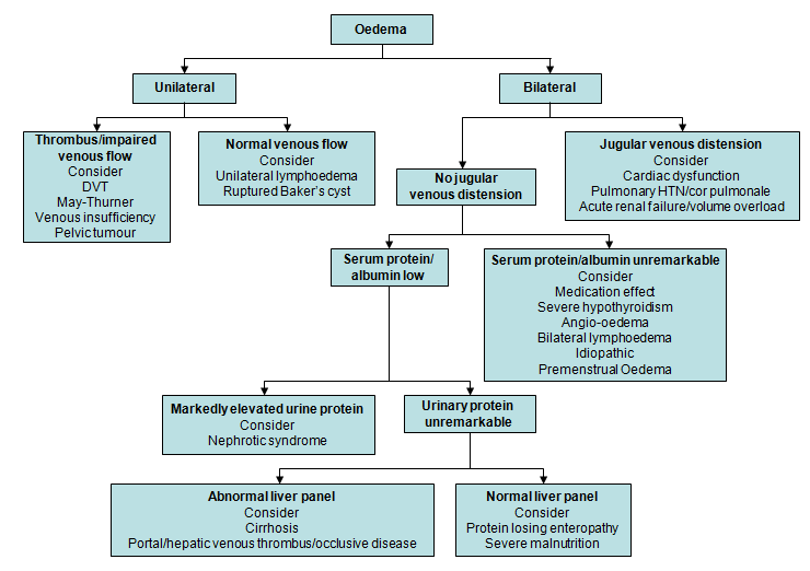 com.bmj.content.model.assessment.Caption@6e3aa7b0
