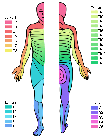 Assessment Of Lower Extremity Mononeuropathy Aetiology