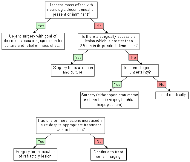 brain abscess approach bmj best practice
